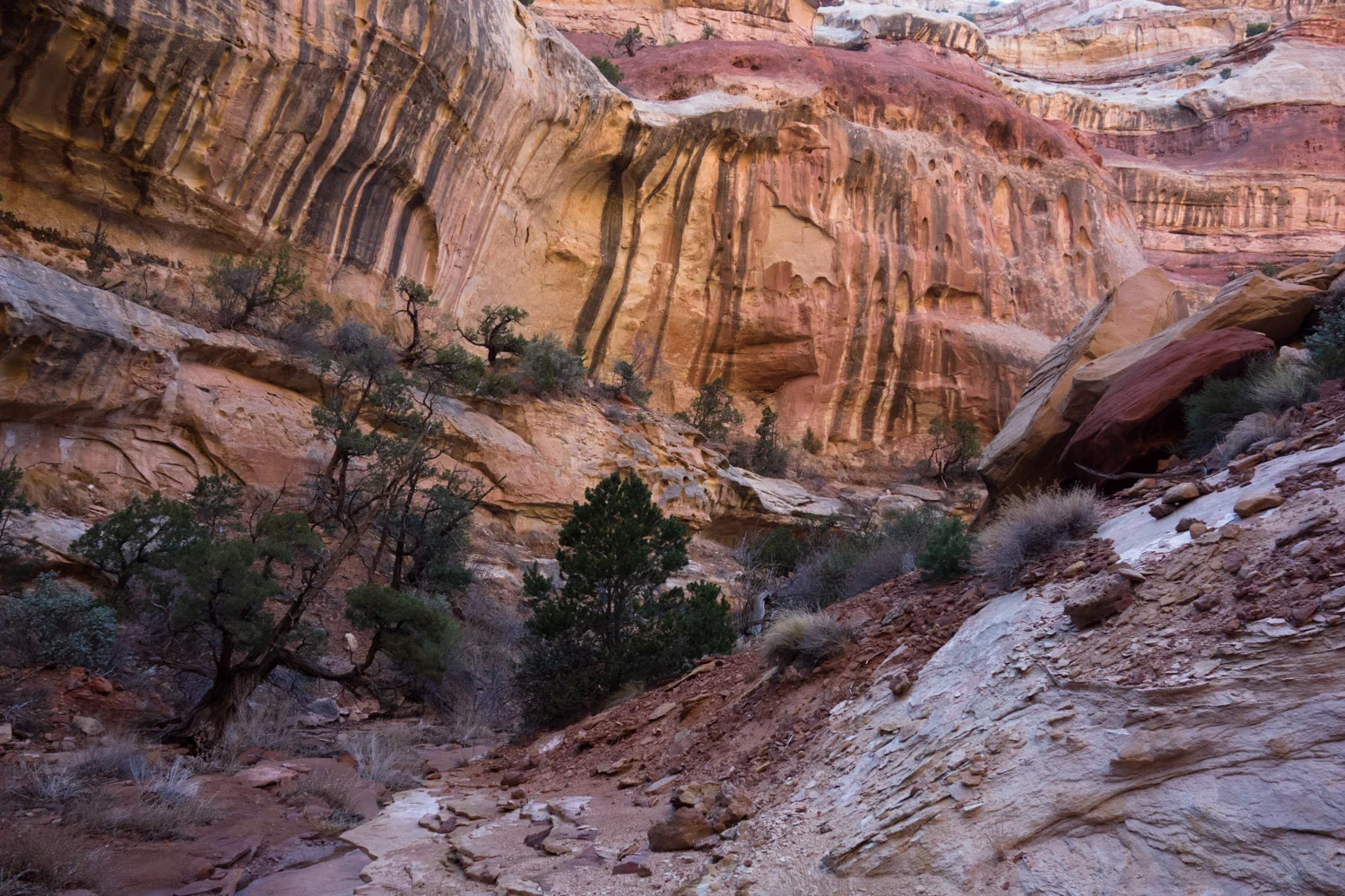 2018 March Canyonlands NP.jpg