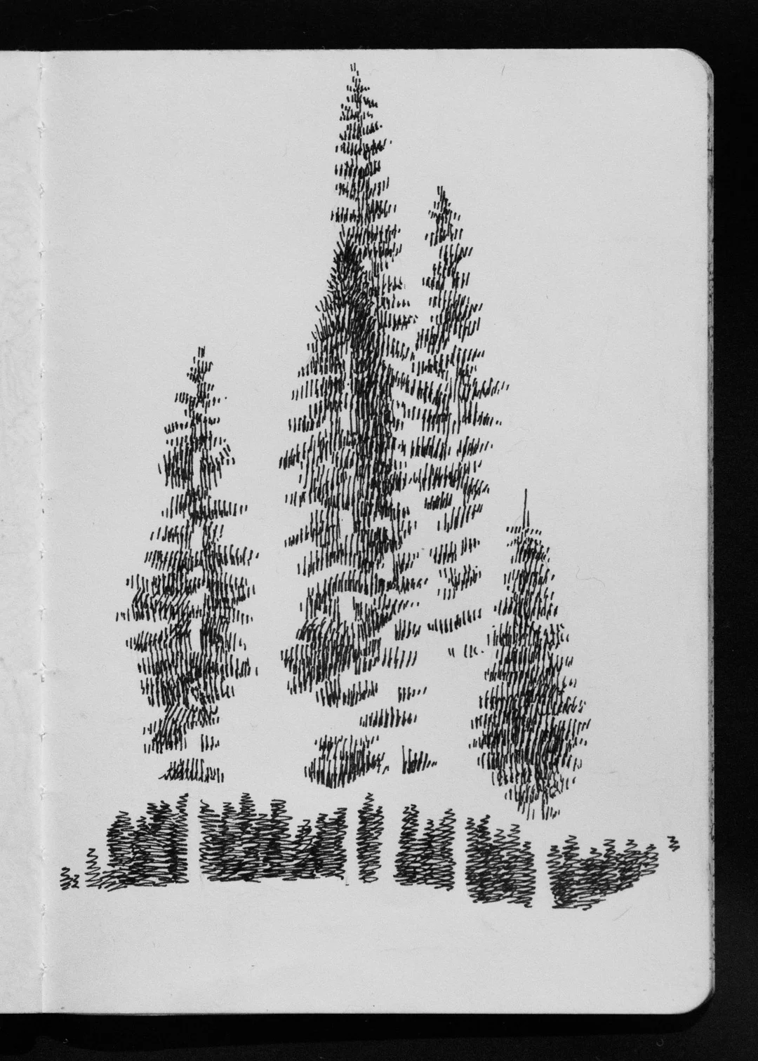01-17 Tree Impressions.jpg