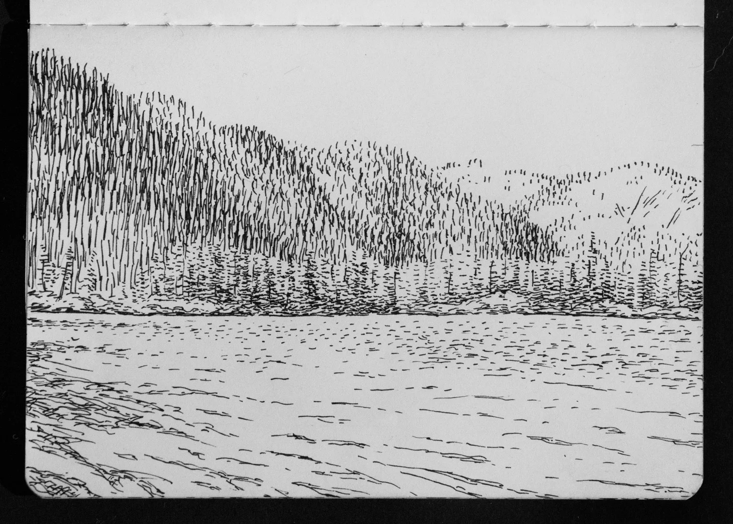 02-04 Upper Whitefish Lake.jpg