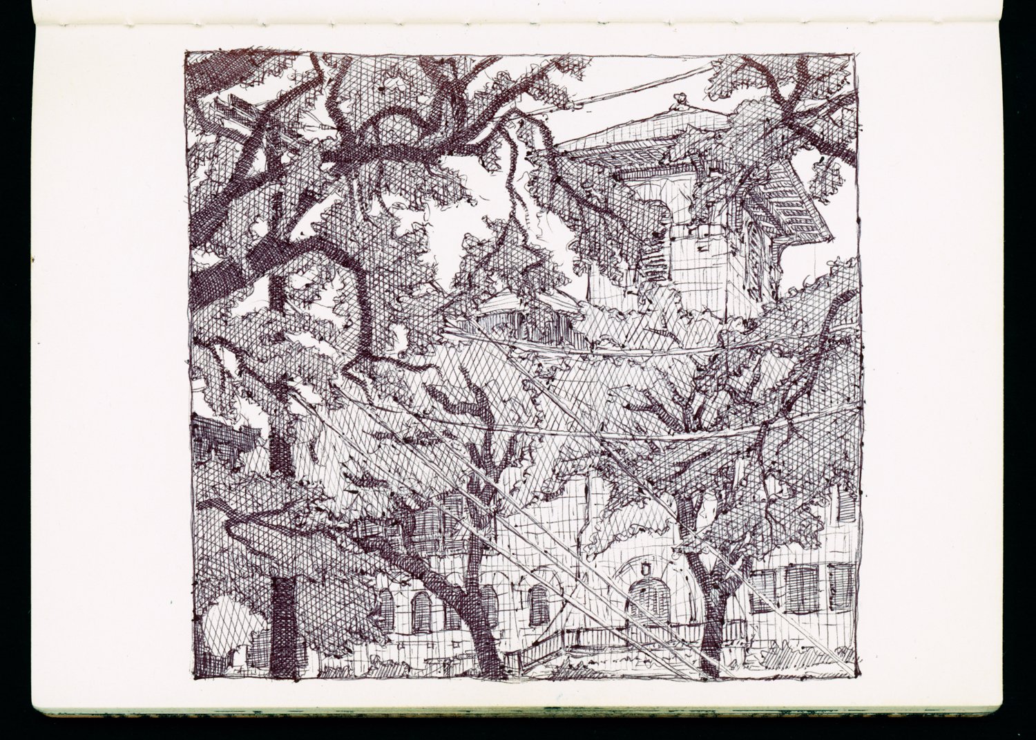 11-20 Tress and Methodist Church on UTA Campus Austin.jpg