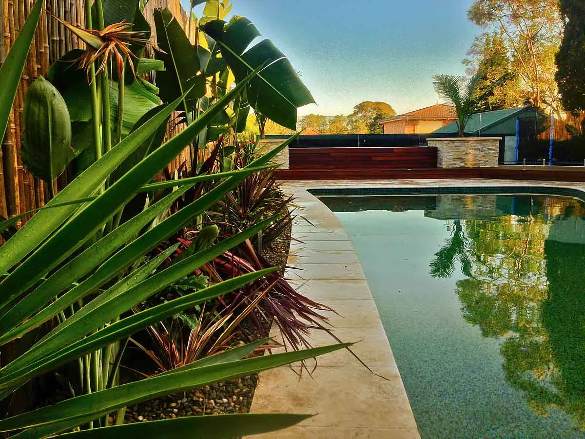 Poolside Tropical Garden - Ocean Shores
