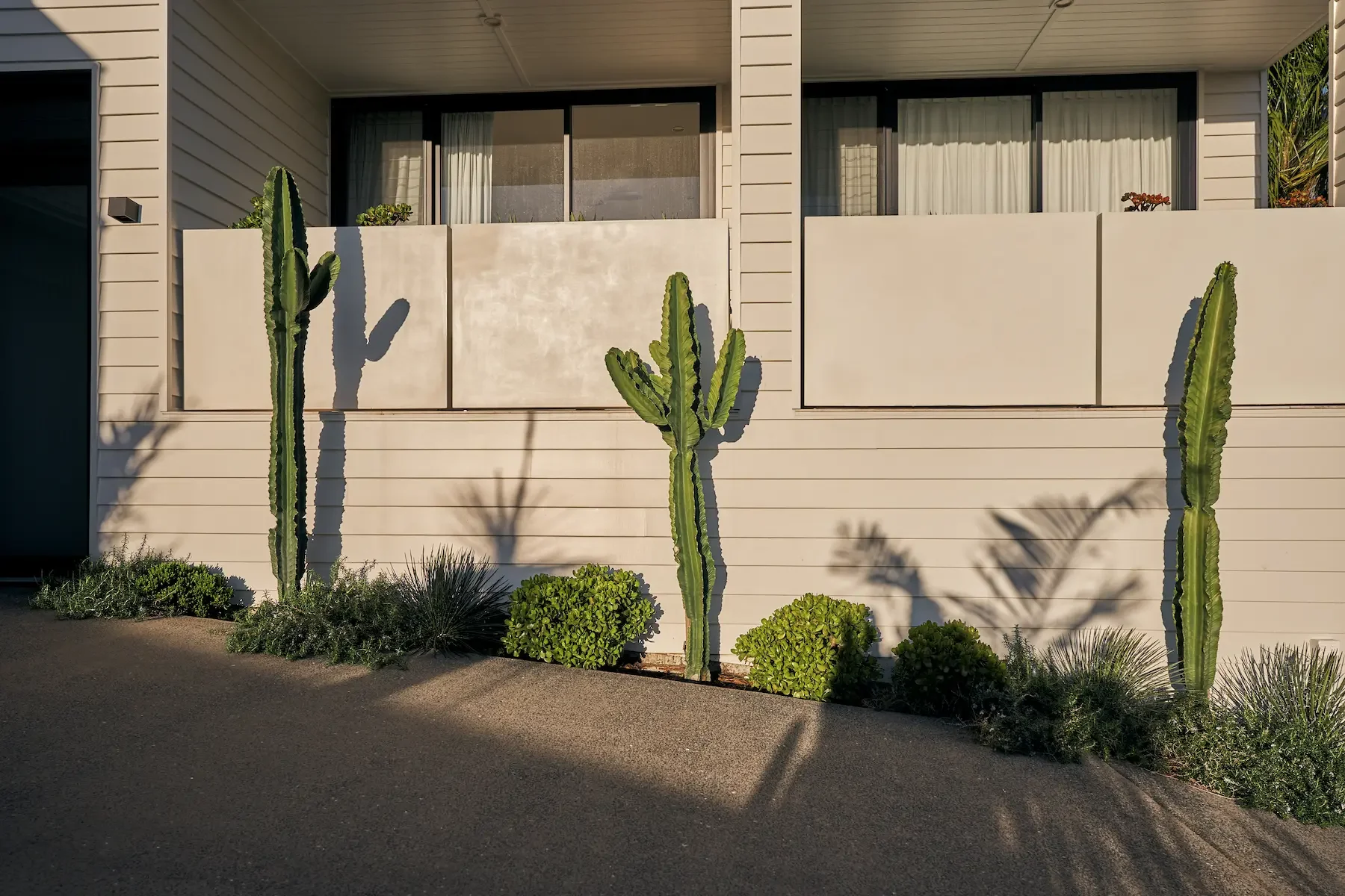 Native &amp; Exotic Landscape Design Byron Bay