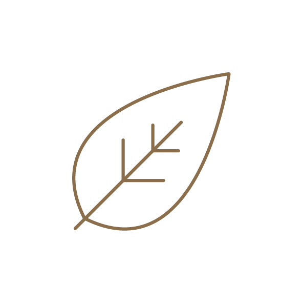 Tan-Lounge-spray-tan-brisbane_icon_organic.png