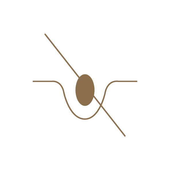 Tan-Lounge-spray-tan-brisbane_icon_non-comedogenic.png