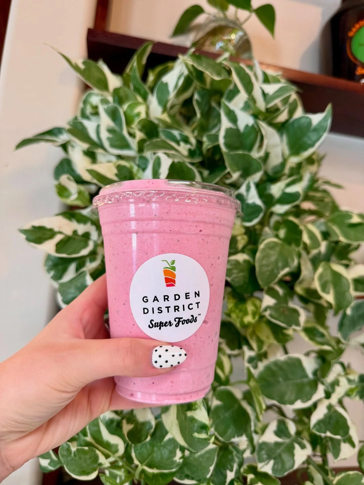 🎒📚 Back to school = brain fuel!
Tomorrow only, students and teachers get 15%! 

Either show your school ID or tell us your favorite part of your first day! 🥭🍓🥕

Fruits &amp; veggies aren&rsquo;t just tasty&hellip; they&rsquo;re smart snacks for 