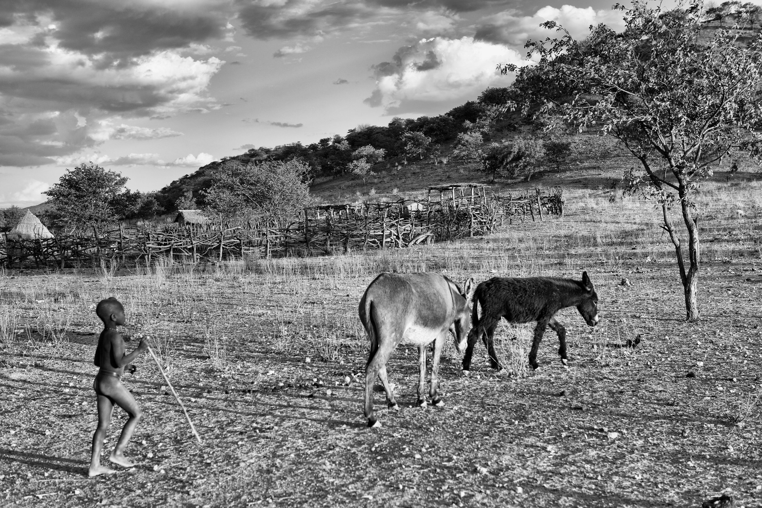 IMG_4487-bw-himba-burro-ig.jpg