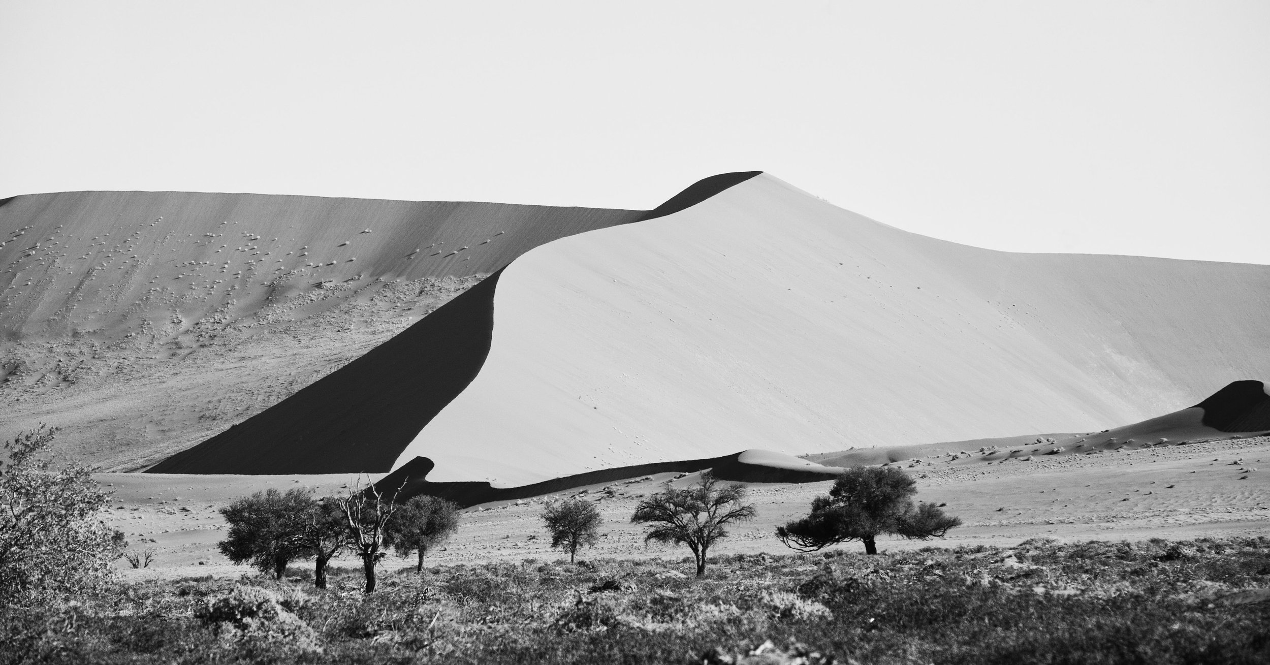 _MG_5685-dune#5-namibia-1,91x1.jpg