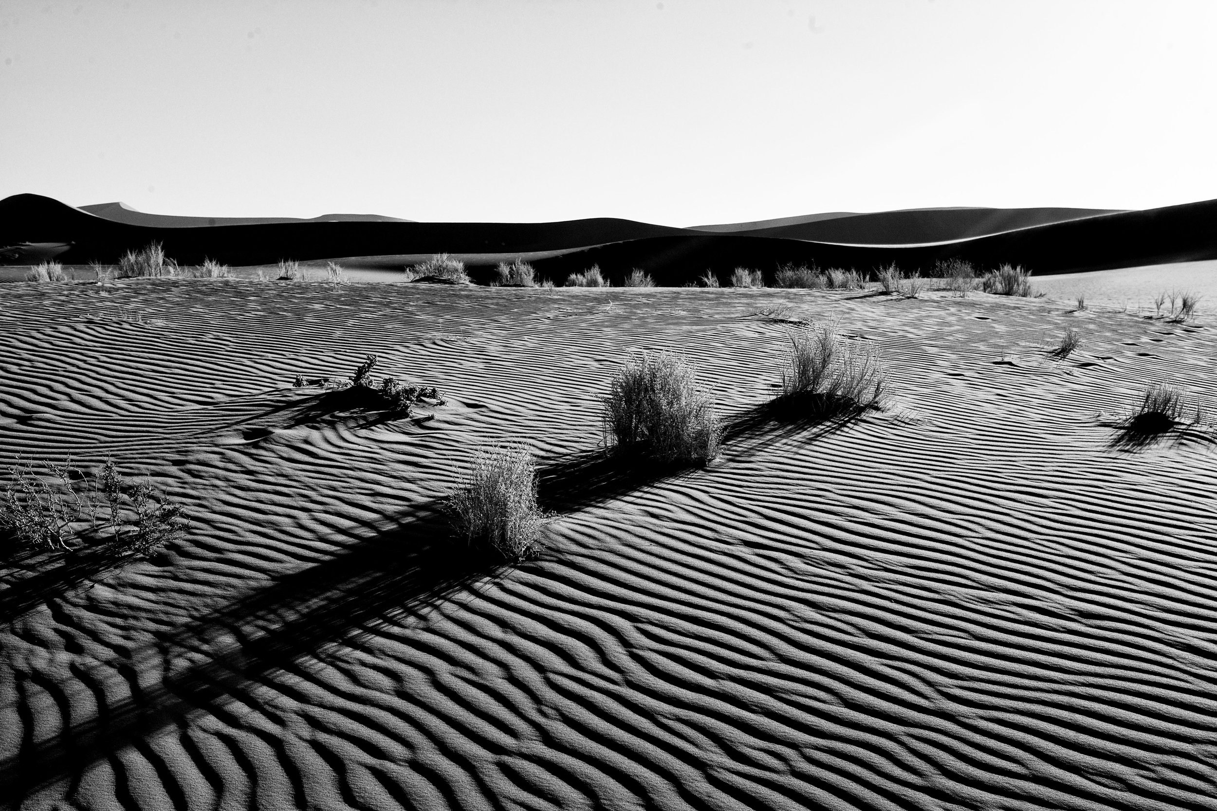 _MG_5751.CR2namibia2008-ig.jpg