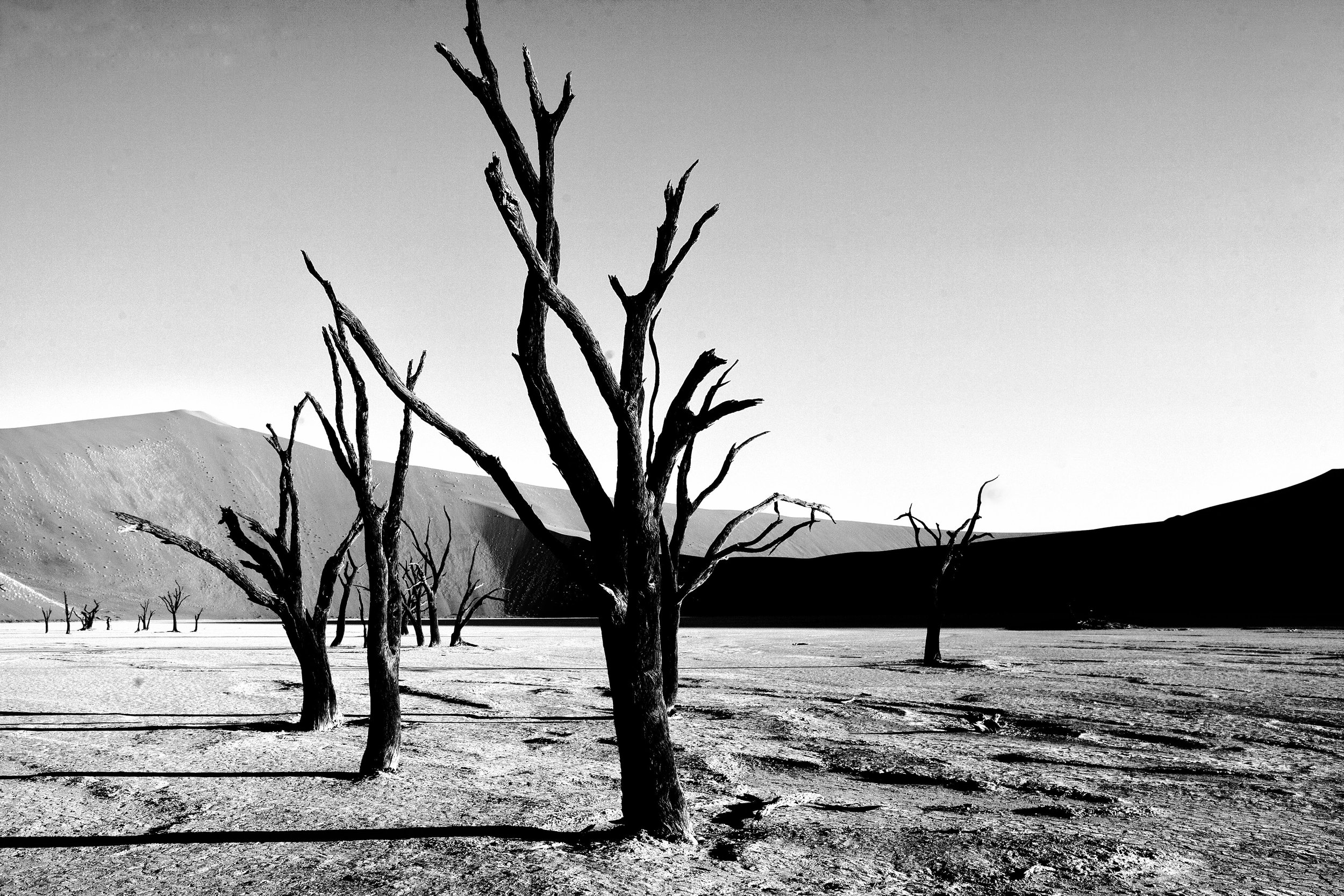 _MG_5770.CR2namibia2008-ig.jpg