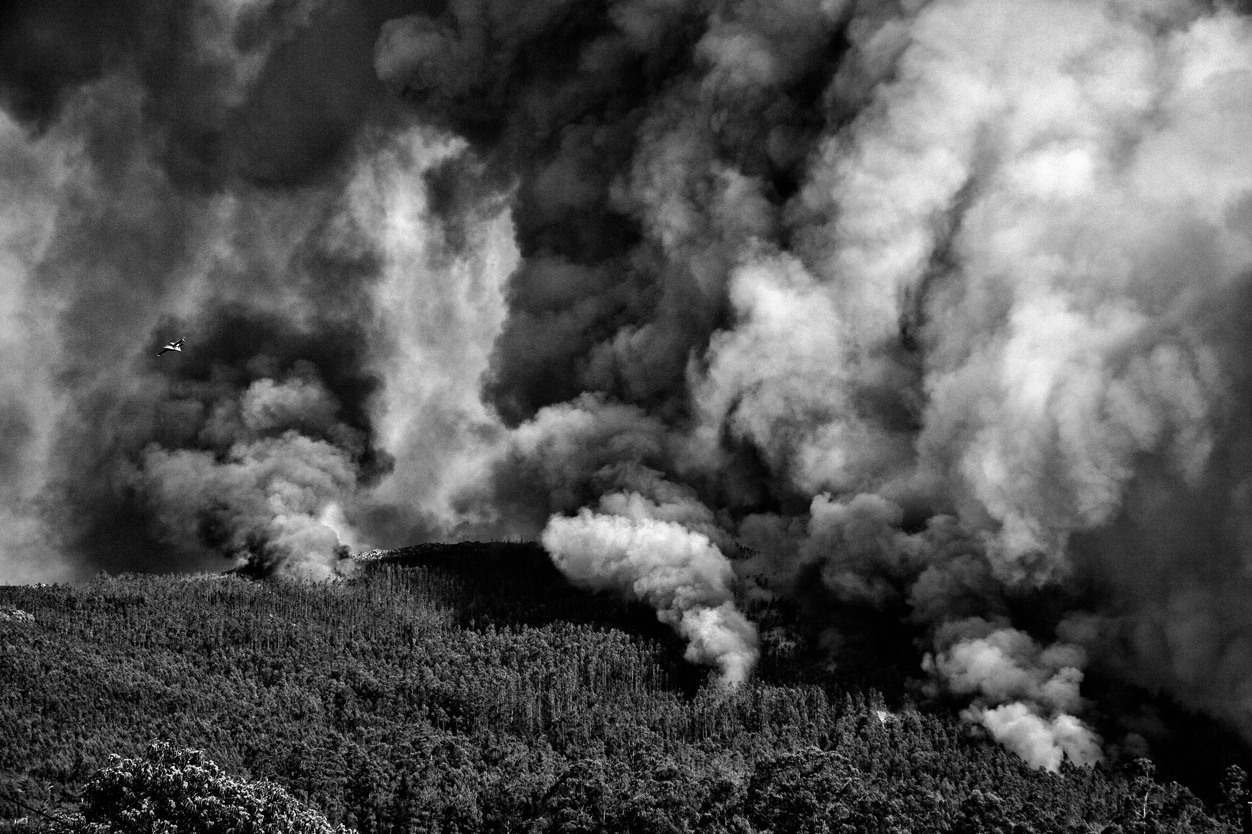 _MG_6767-incendios.jpg