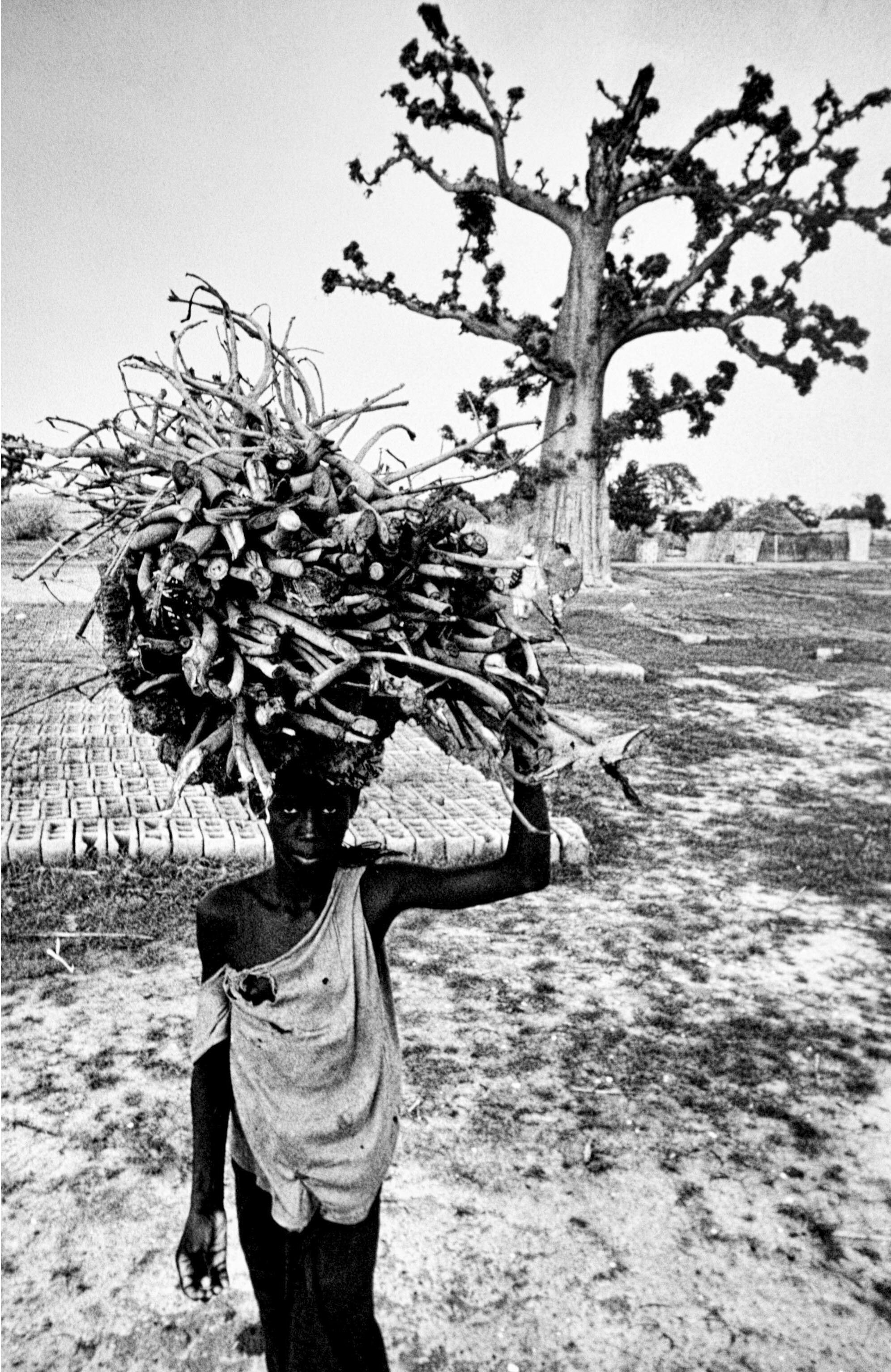 _MG_9098-IG-senegal.jpg