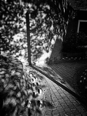 sombra-crop.jpg