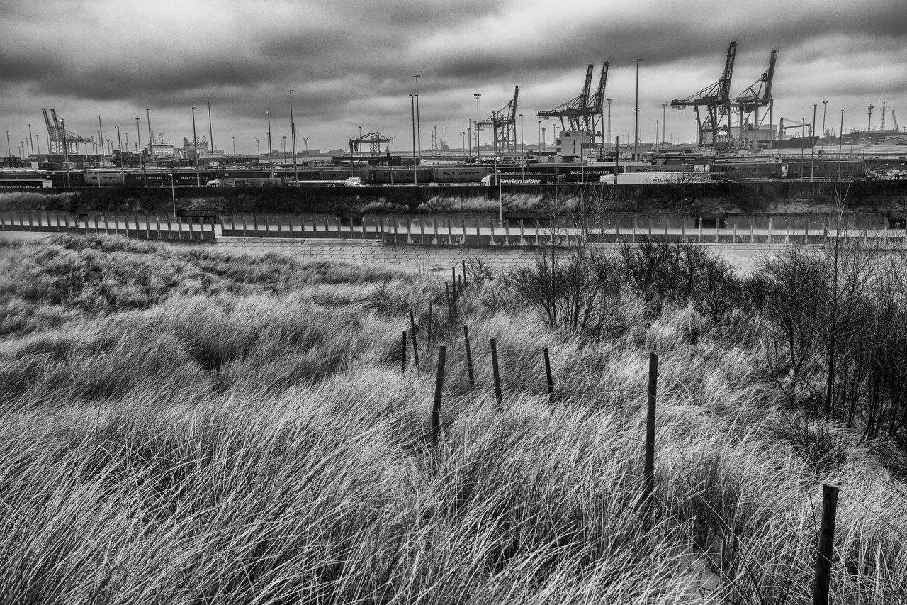  Beach and dunes of Zeebrugge, a area where transmigrants spend the night before jump the fences of the port trying to reach the ferry P&O to UK. Zeebrugge, Belgium, February 9, 2016. Credit Photo Delmi Alvarez. 