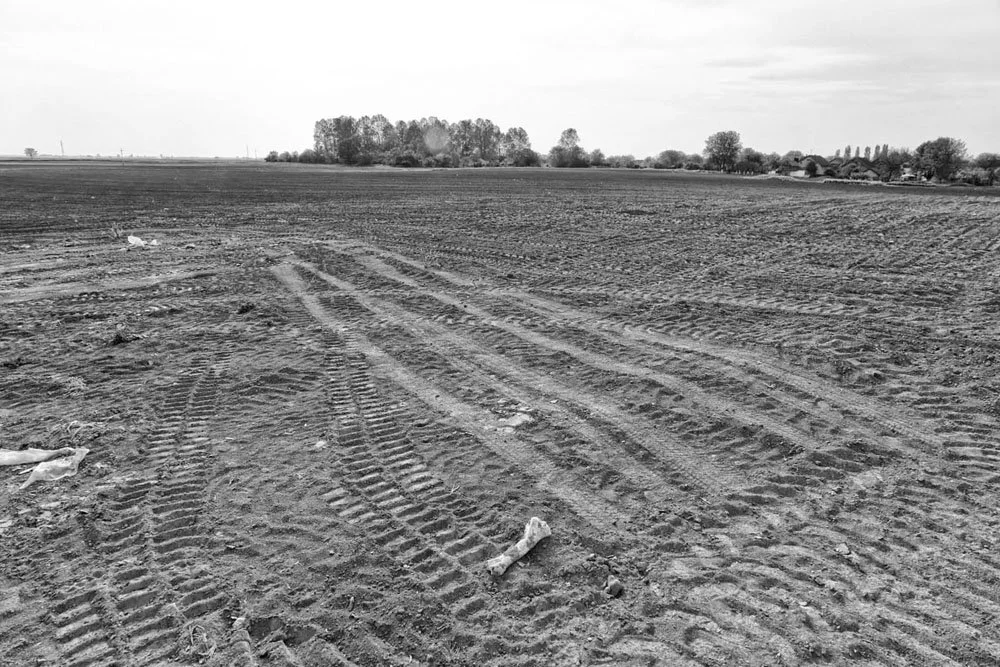 ALD20130430-CRO285-sotin-bw.jpg