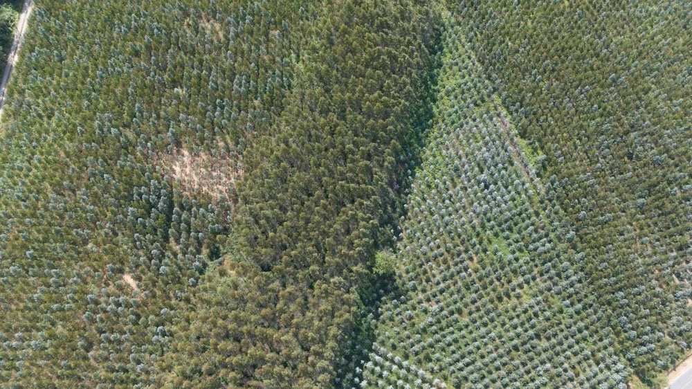 ALD23JUL25-84958 .jpg