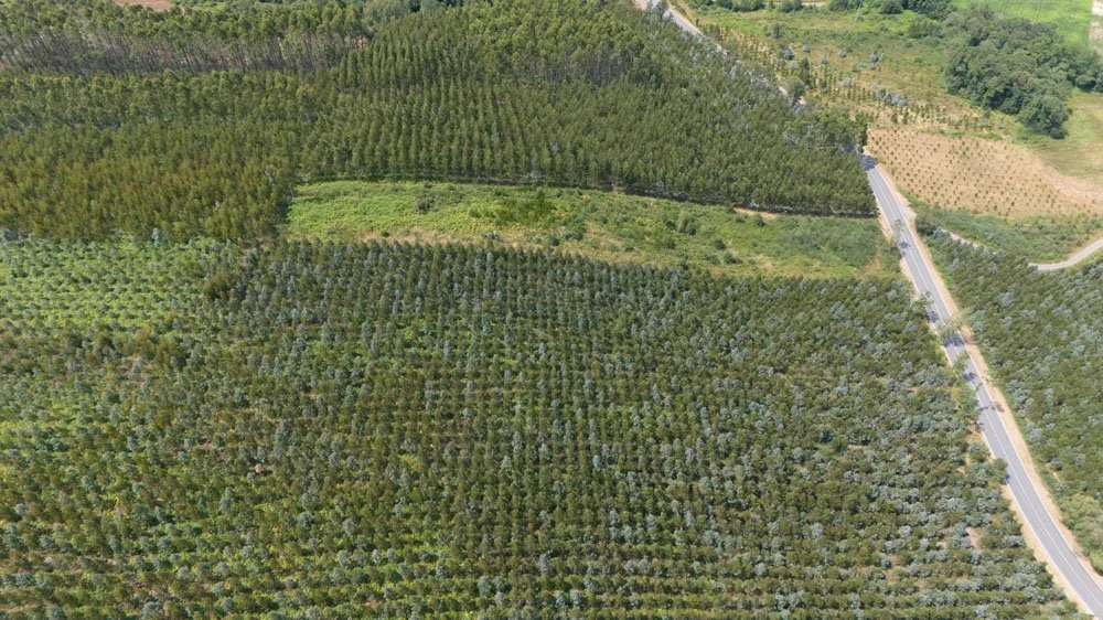 ALD23JUL25-84963 .jpg