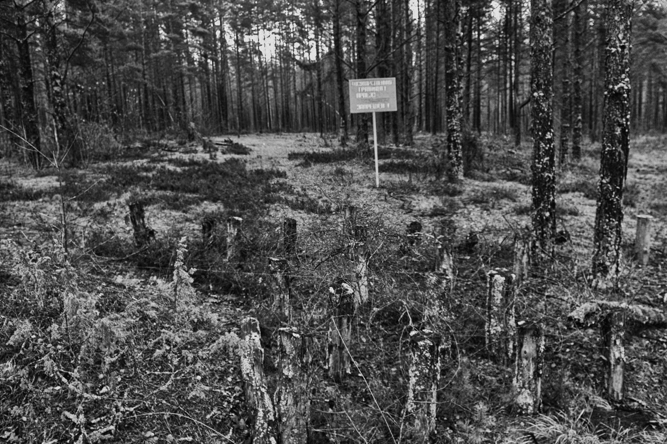  Barbed wire fence remains of the WWII mark the border between Latvia (Europe) and Russia. 2003. 