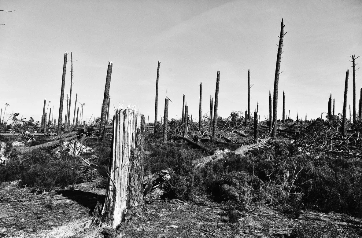 Screen Shot 2026-03-06 at 13.35.40.jpg