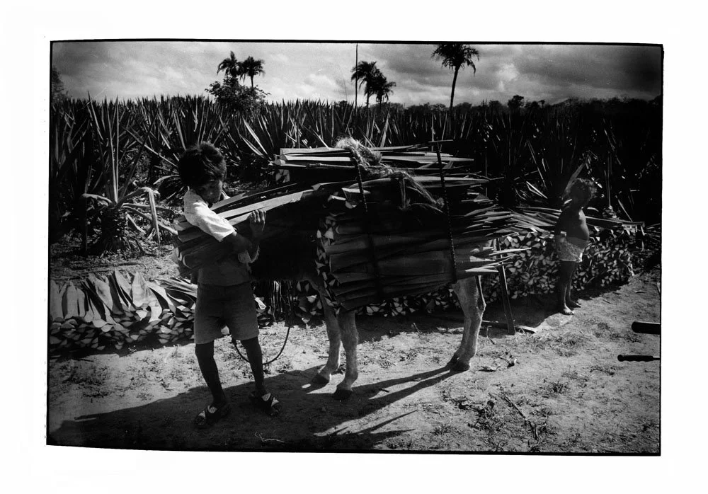 BRU052408ALD-portfolio57.jpg