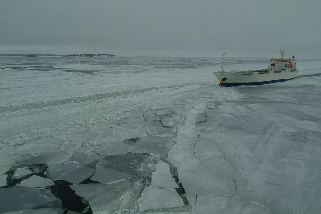 DSCF1381.jpg