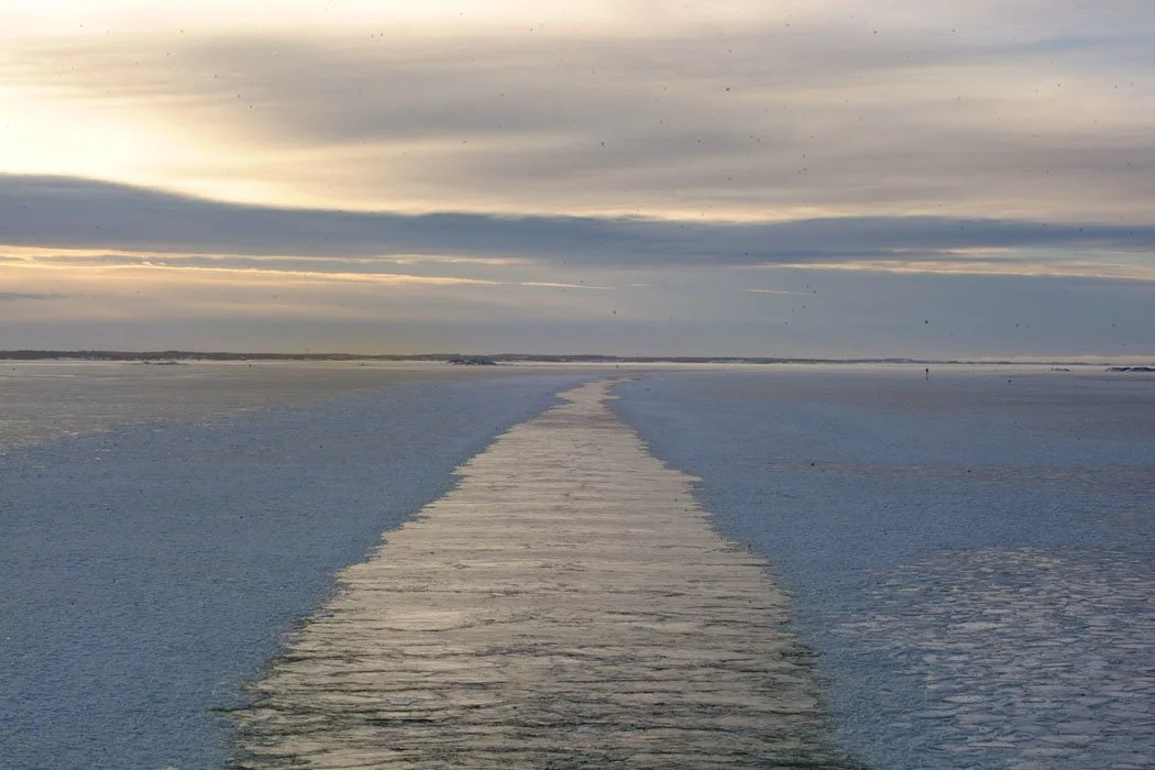 DSCF1821.jpg