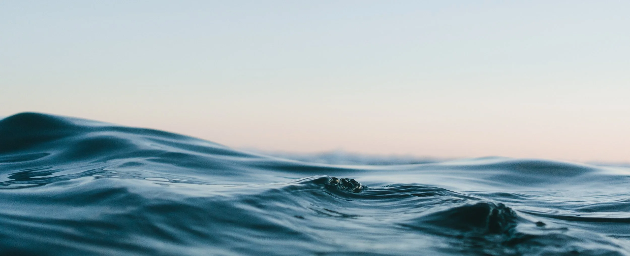 Conversations with Shame