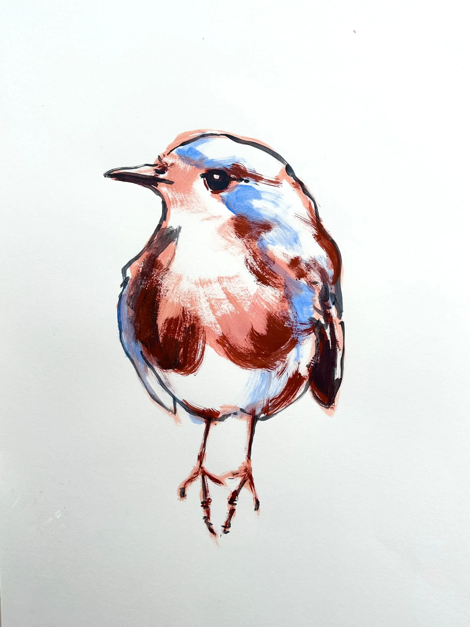 Zeichnen und Wundern mit KATRIN  “Colourful creatures”