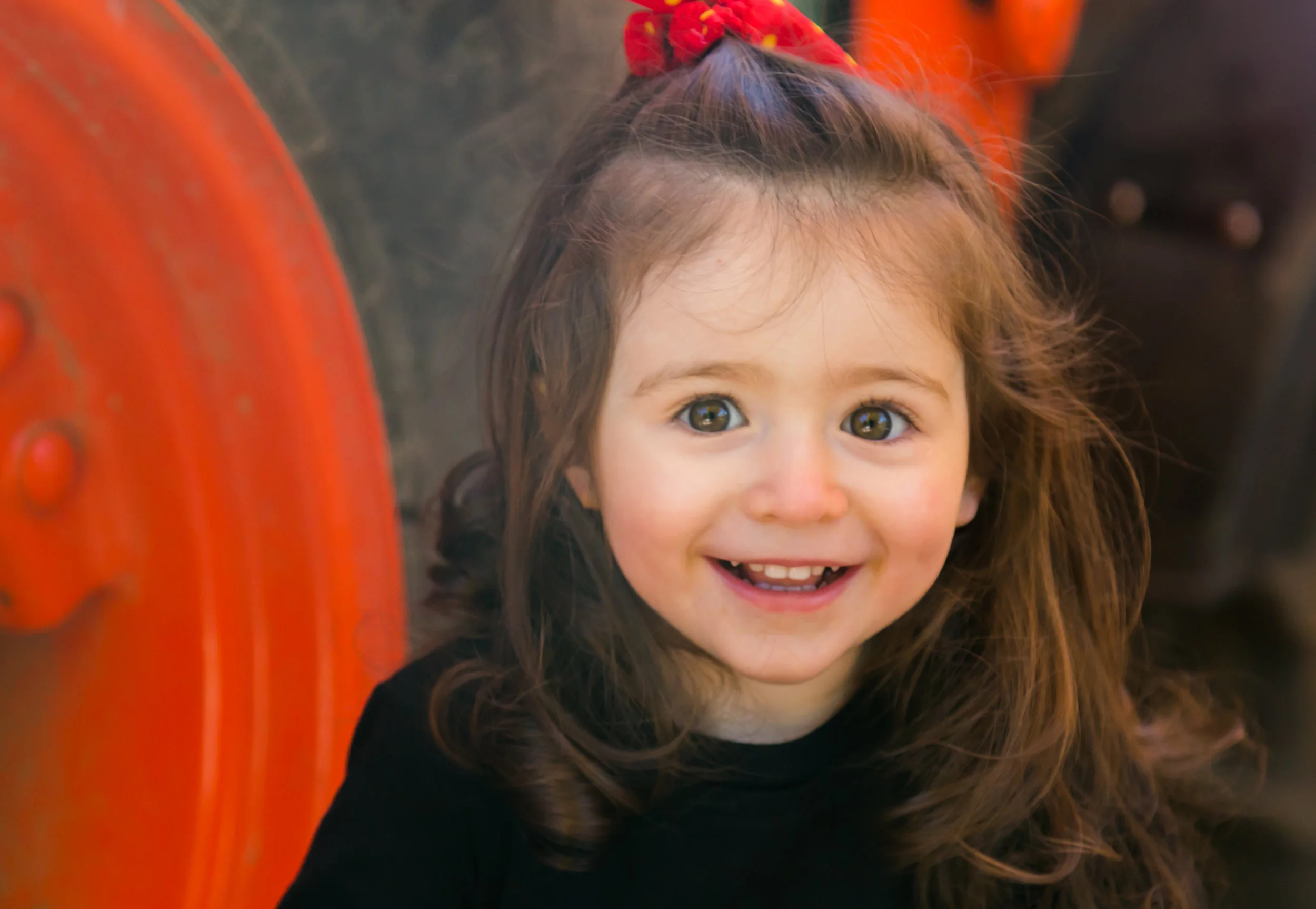 30153429542_df0ef47d5e_o.jpg