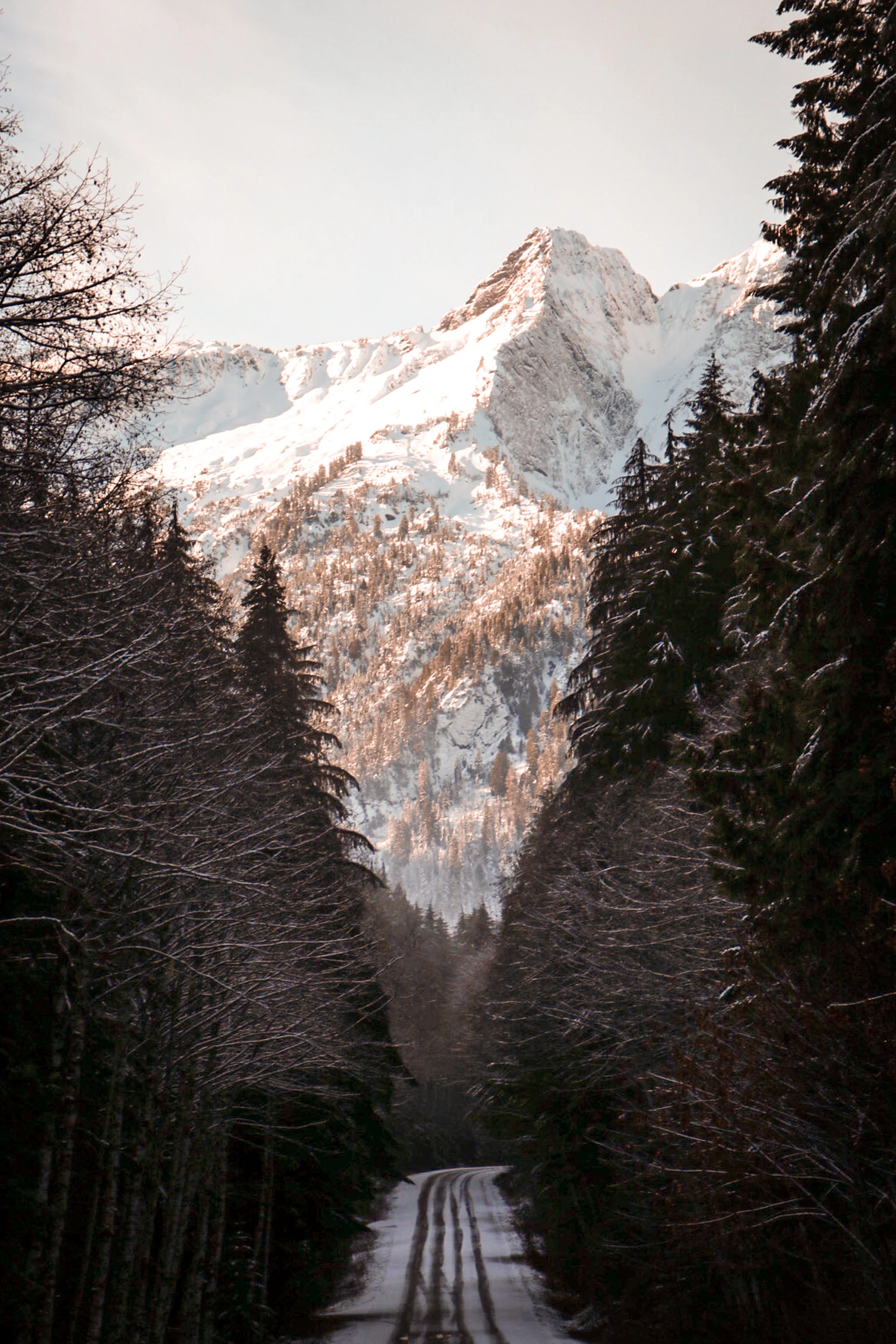 Trauer ist so mannigfaltig wie Freude