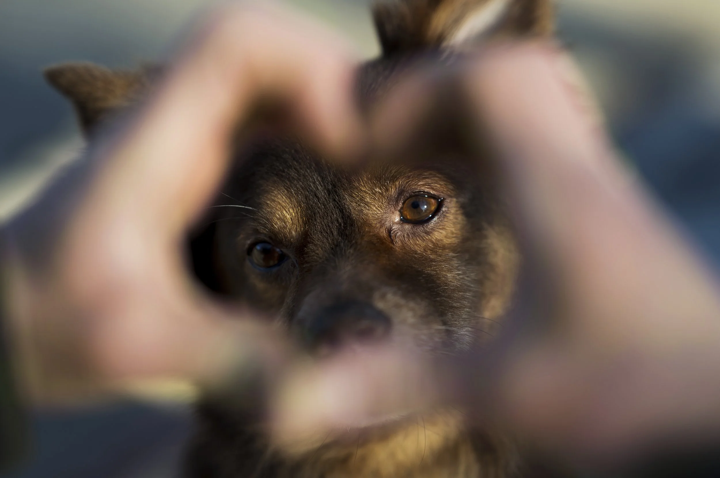Zwei Lesungen an der Grundschule Bargen