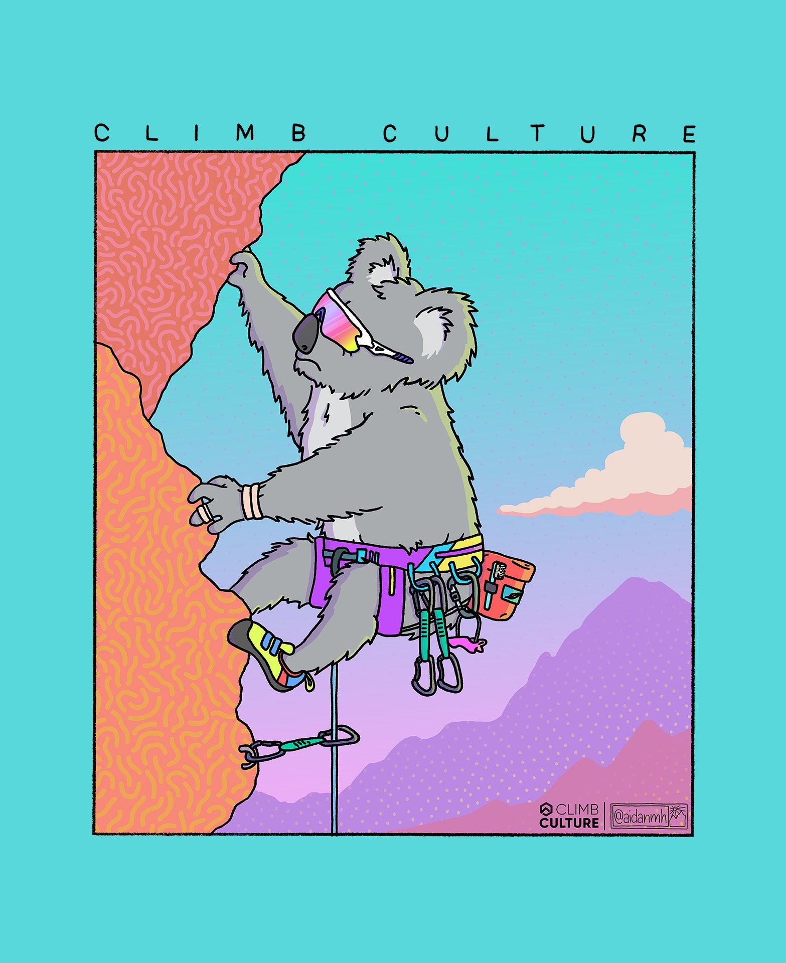 Climb-Culture-Koala.jpg