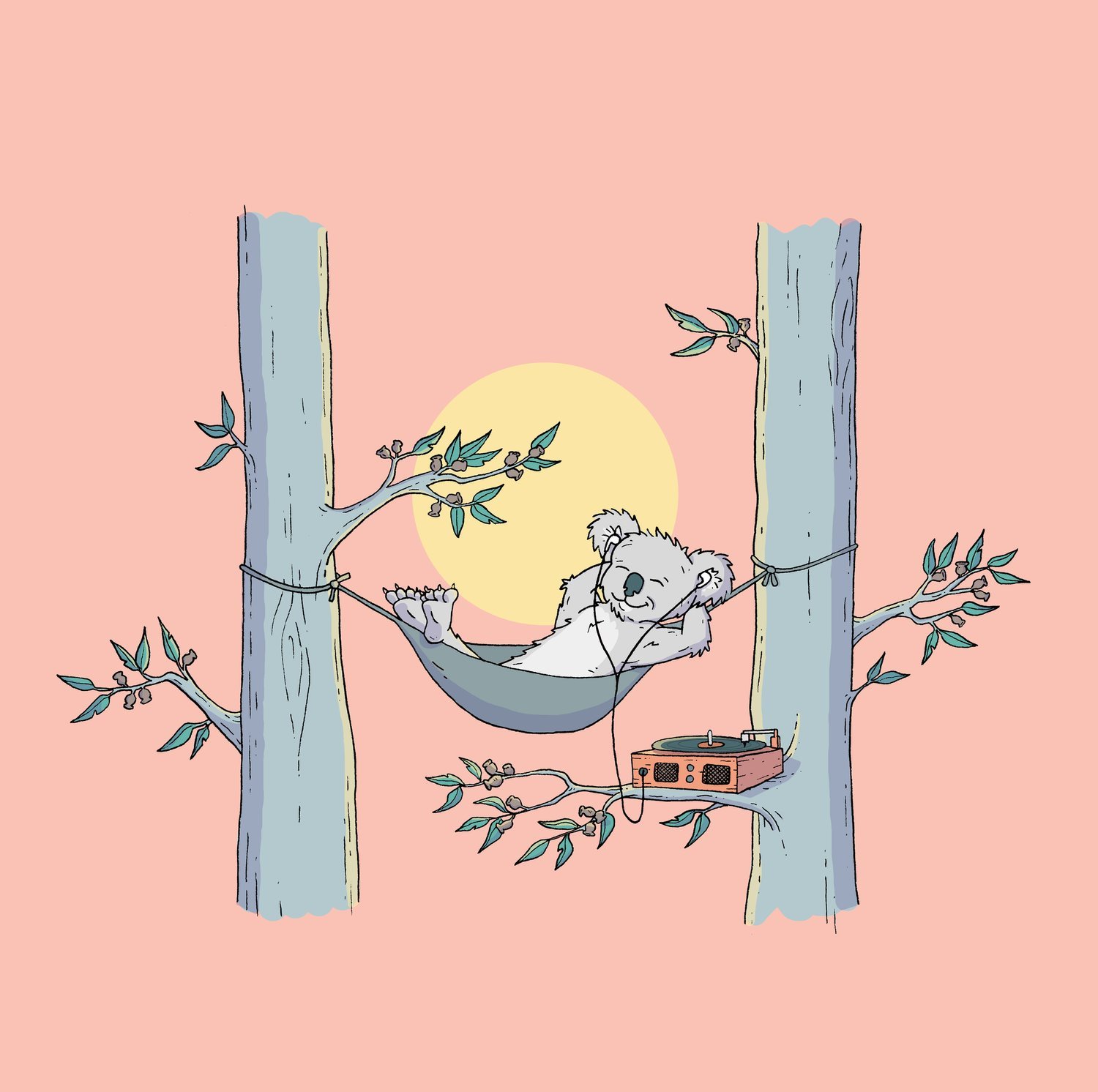 hammock+koala.jpg