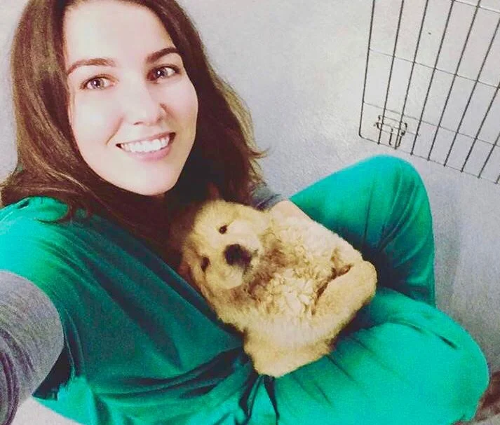 veterinariosintra_olhaopassarinho.jpg