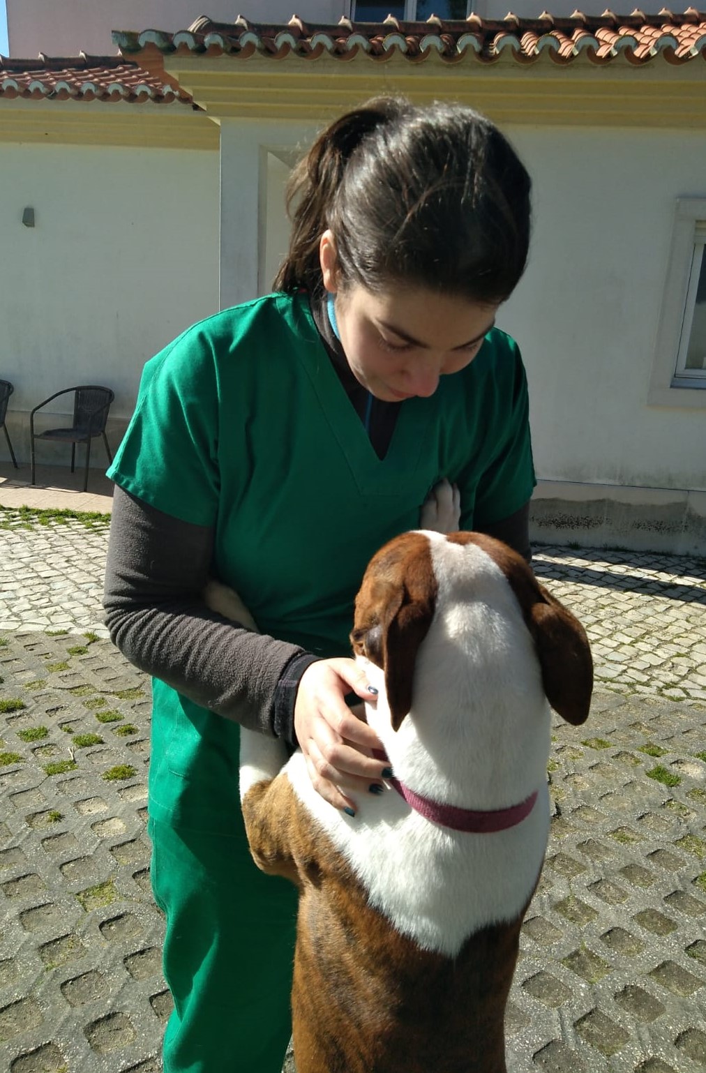 veterinariosintra_domicilio1.jpg
