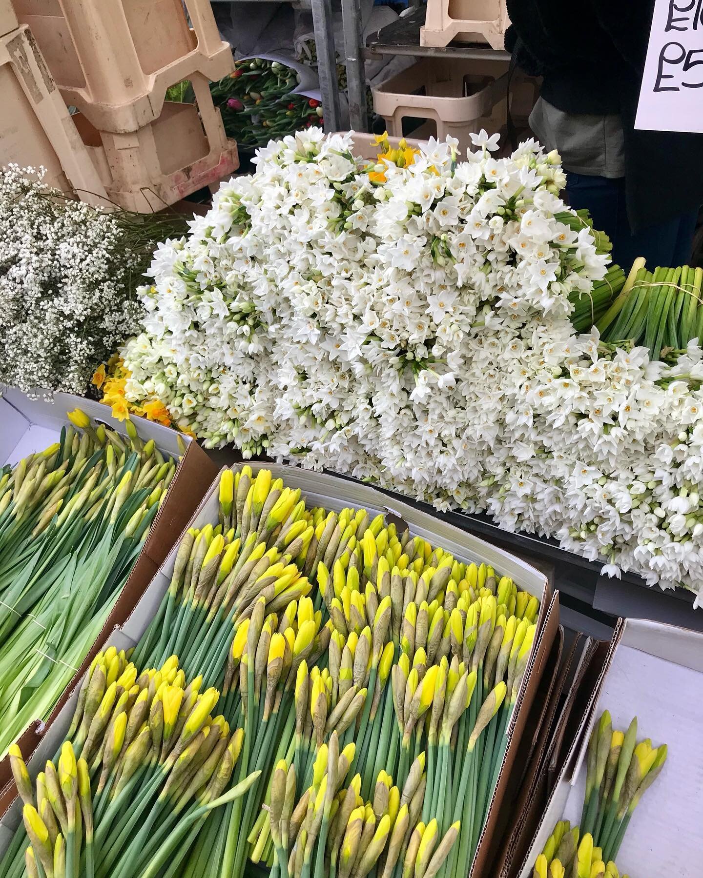 Another Sunday flower market missed 😢we can&rsquo;t wait to FILL the shop with flowers as soon as we can open again. In the meantime, hope everyone is making the most of supermarket Daffodils 🌼