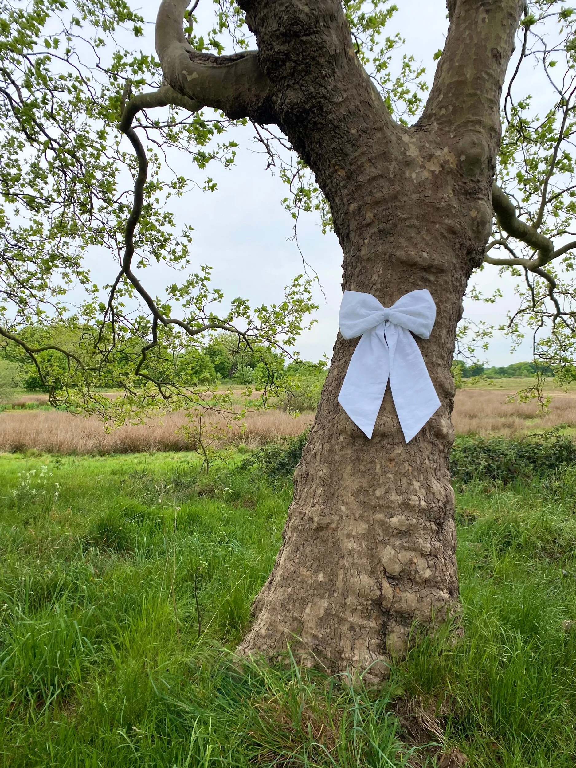 08E06EA3-304A-4479-8634-60E1A4A67F66