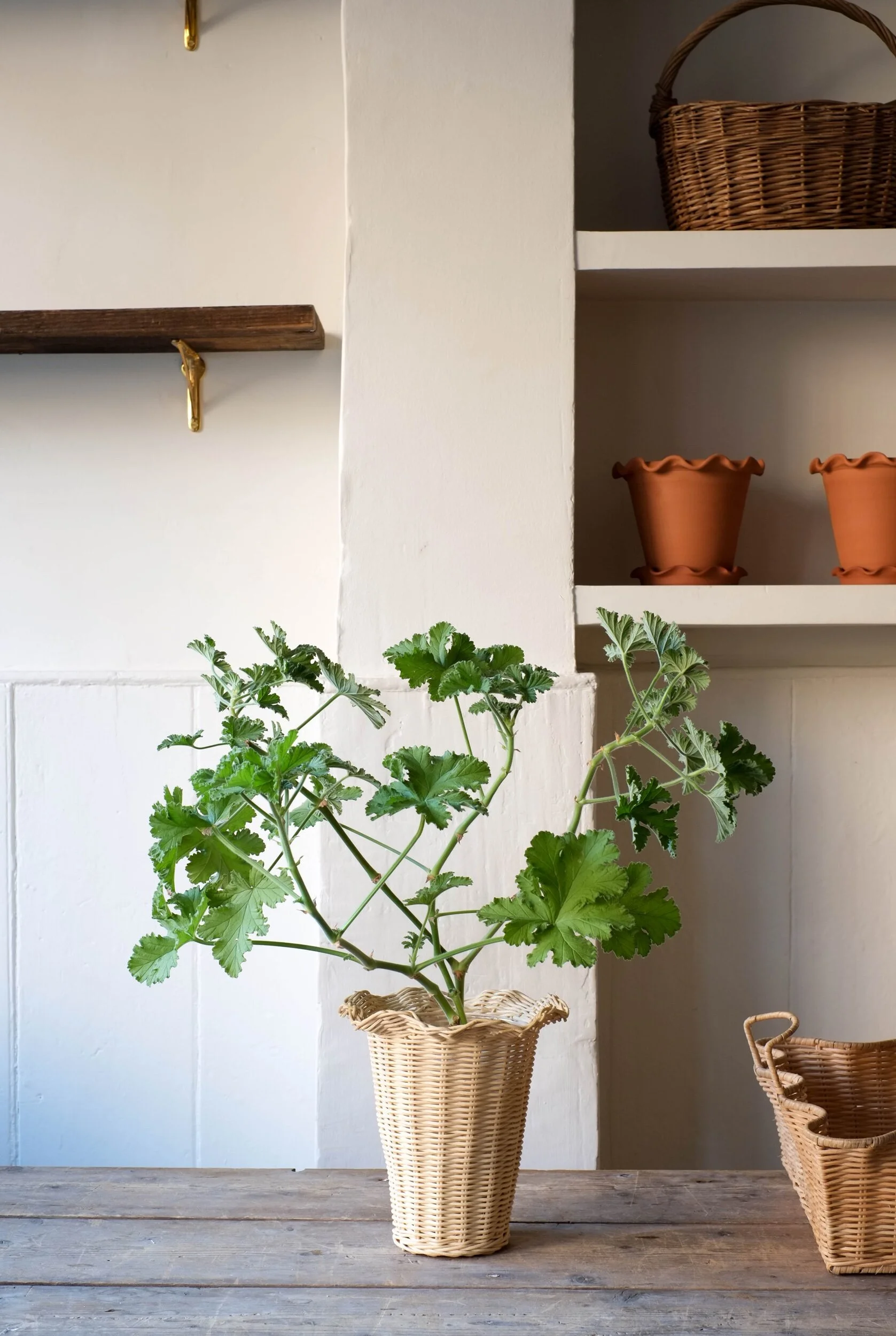 A27DD4A1-9031-4671-BD80-0A0CFBAB39FB