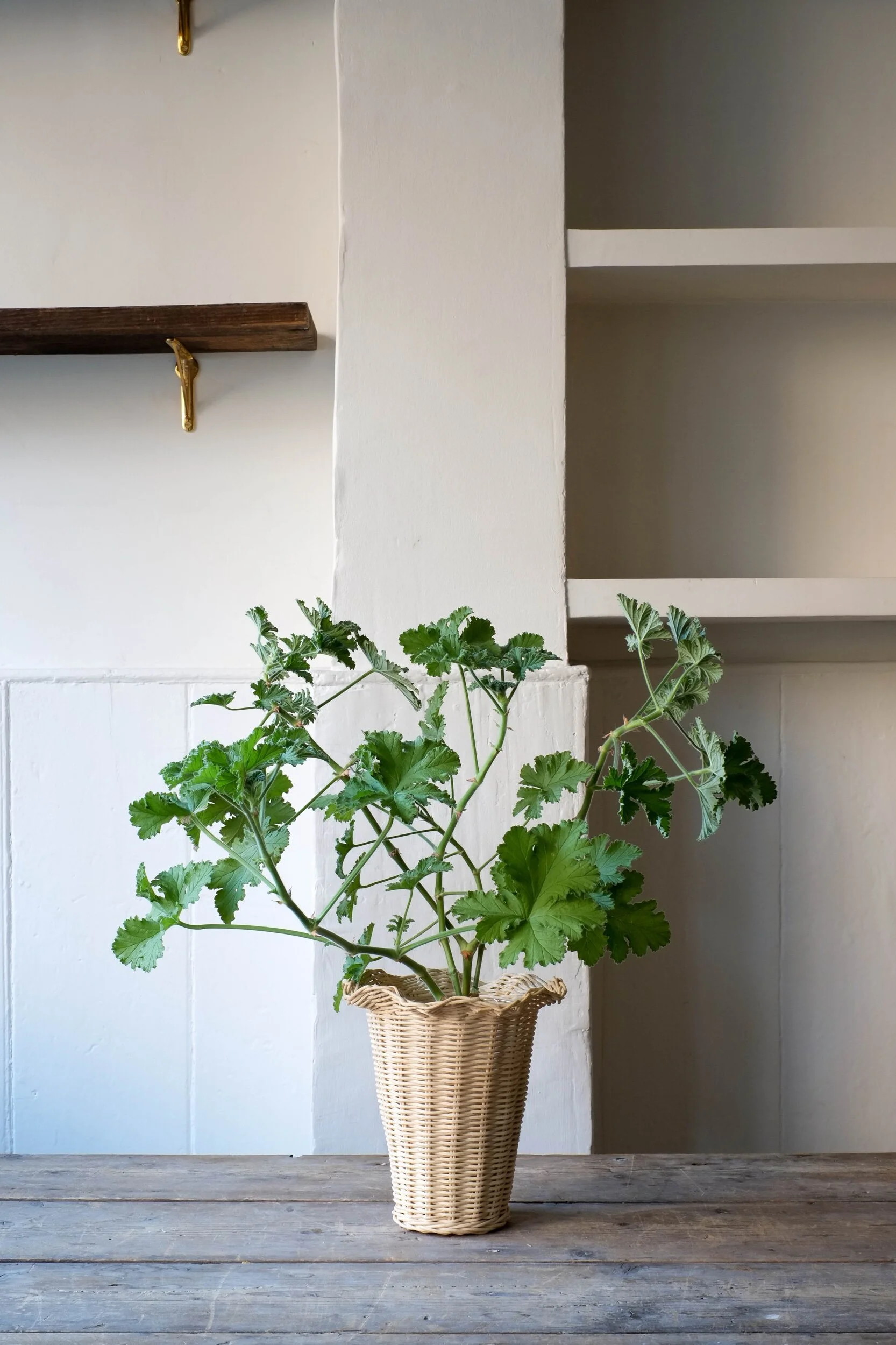 BD2B18E4-49AD-4D99-80D7-731ACD1A7441