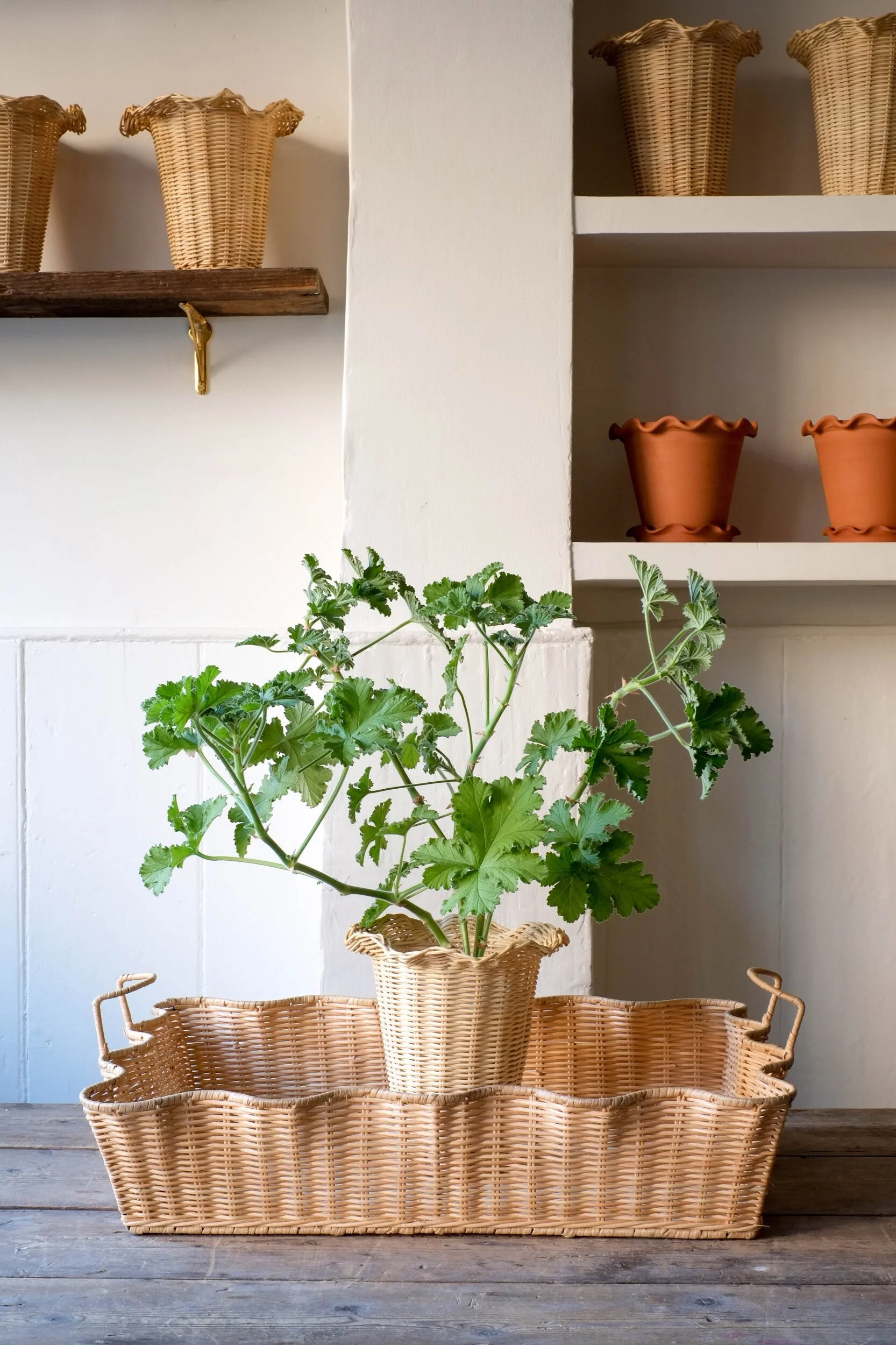 C3D303C2-4773-4890-AE8E-4F5A2A13CDBB