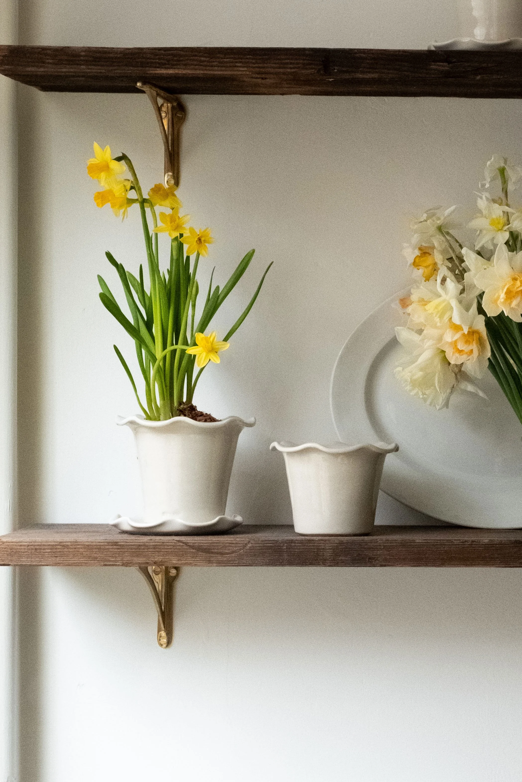 Cream Wavy Edge Saucer