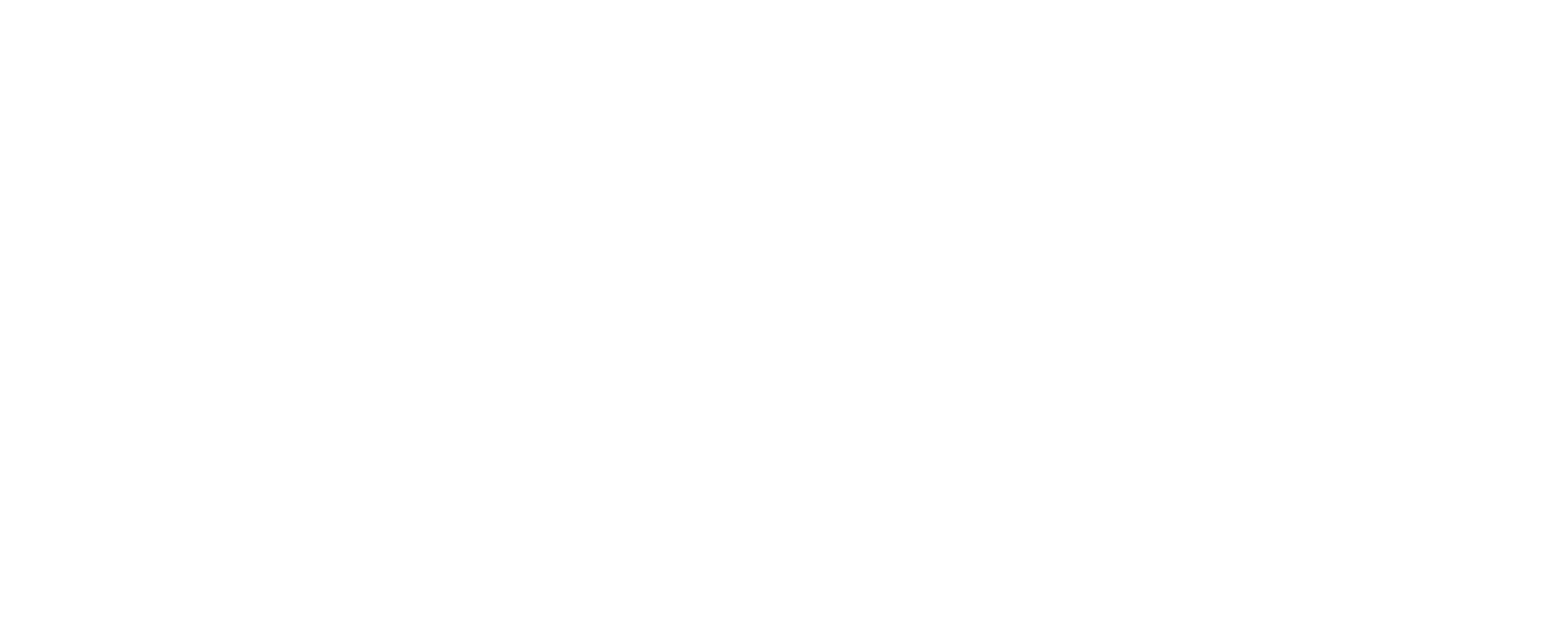 Toicoi Logo-01.png