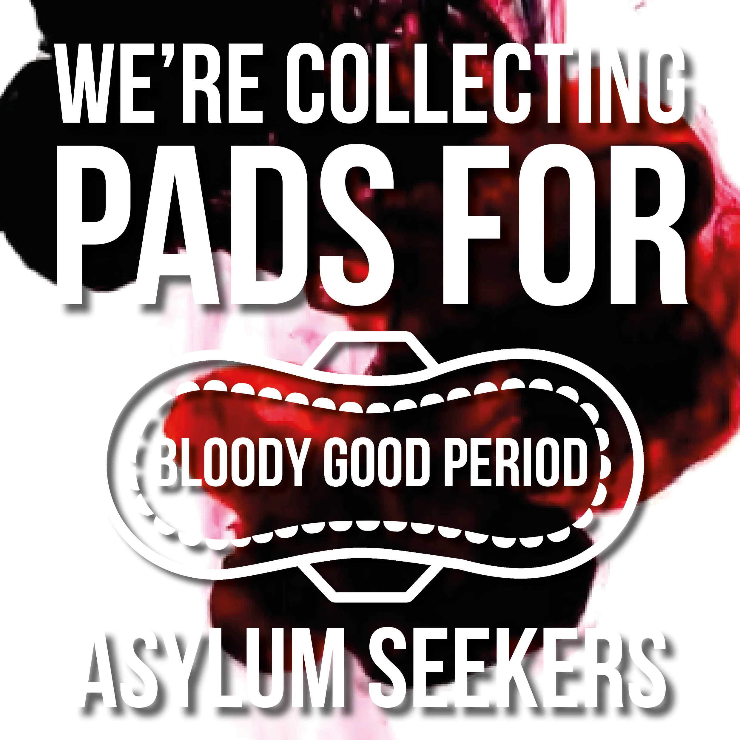 Collection Graphic 1.jpg