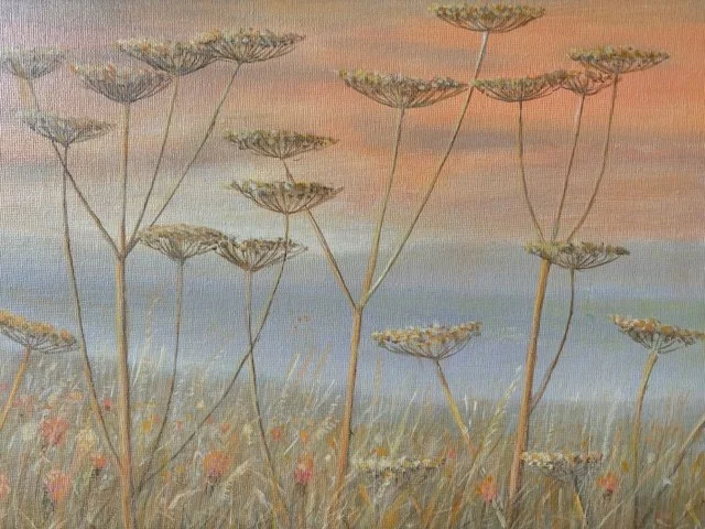 155 Cow parsley 2
