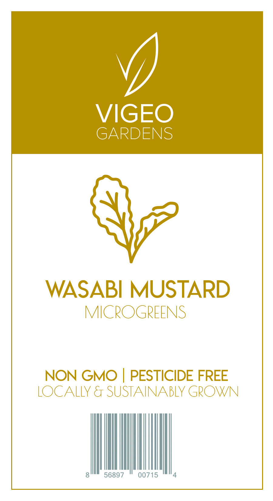 Wasabi Mustard Retail Social.jpg