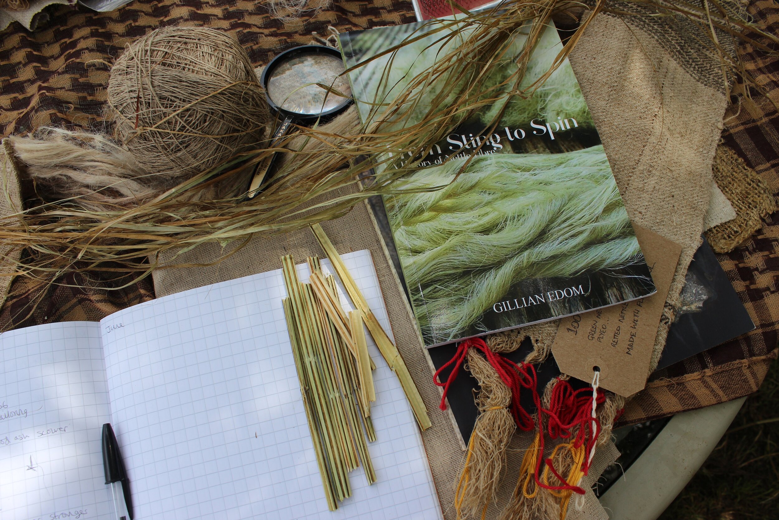 Allan Brown Nettle Workshop