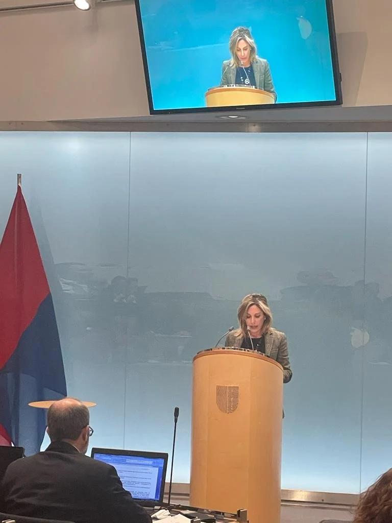 Intervento GC dicembre 2022 (punto 13)