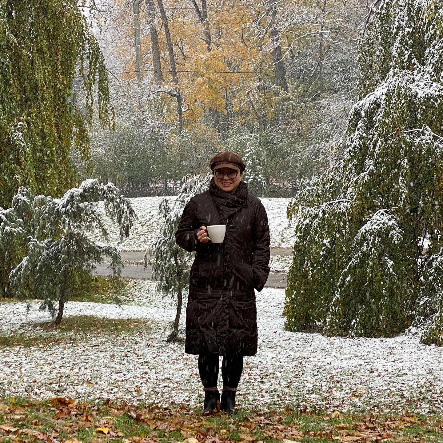 Looking back to the first snowfall in November.
