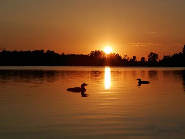 loonlake1.jpg