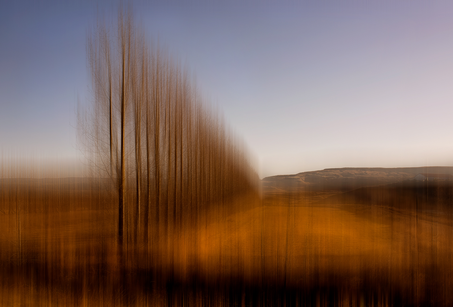 trees_motion_blur.jpg