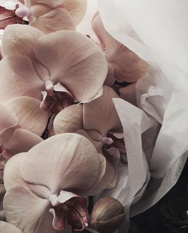 Kako regulirati čustva?